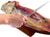 Iberico Bone-in Cured Ham
